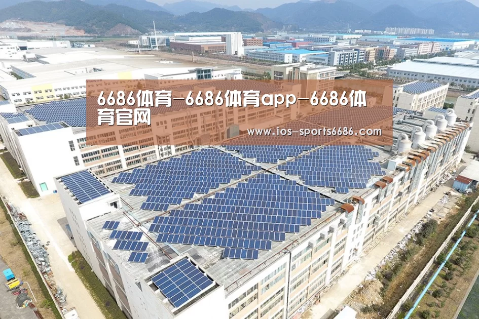 案例展示四