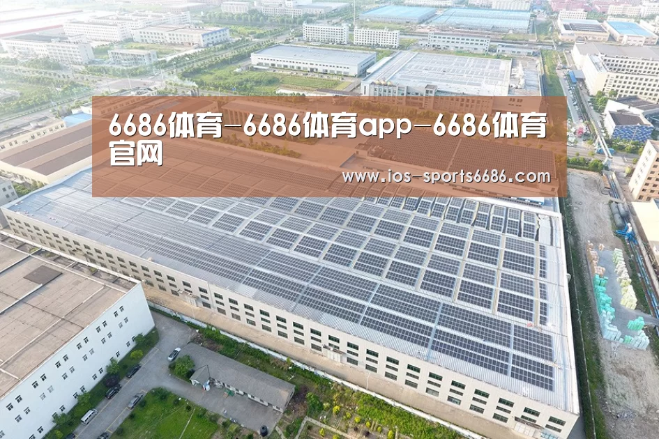 案例展示二