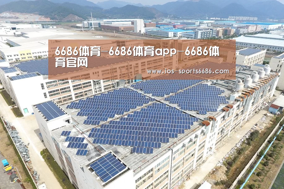 案例展示四