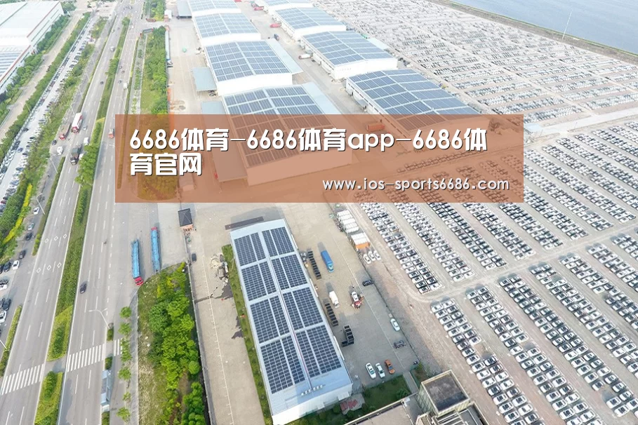案例展示四