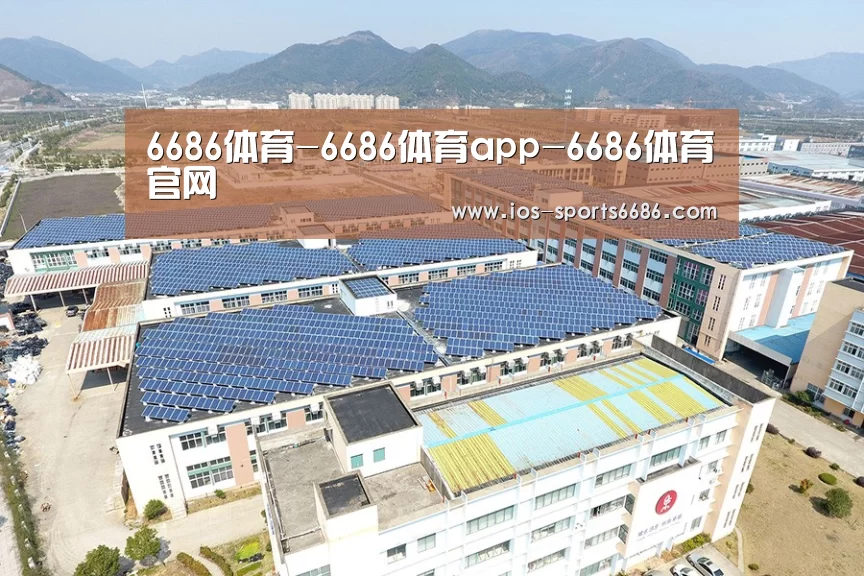 案例展示三