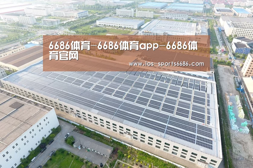 案例展示四