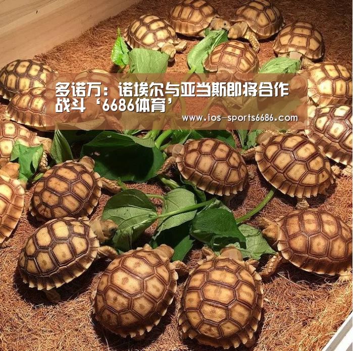 多诺万:诺埃尔与亚当斯即将合作战斗‘6686体育’(图3) 6686体育官网